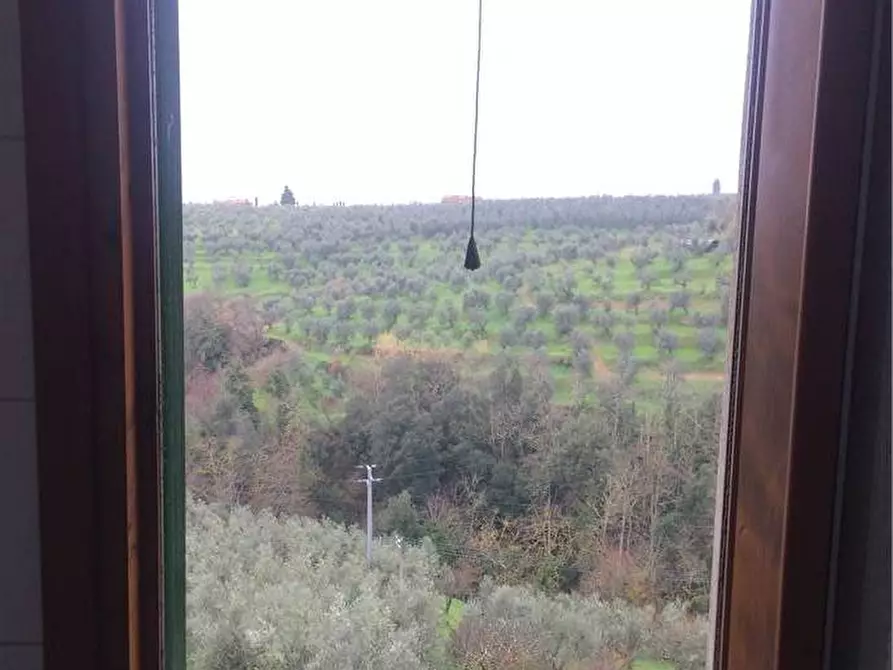 Immagine 8 di Appartamento in vendita  a Vinci