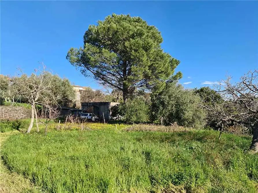 Immagine 6 di Terreno in vendita  in Via Fichera a Santa Venerina
