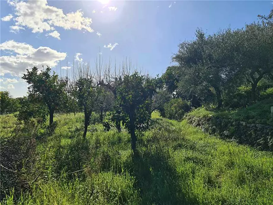 Immagine 7 di Terreno in vendita  in Via Fichera a Santa Venerina