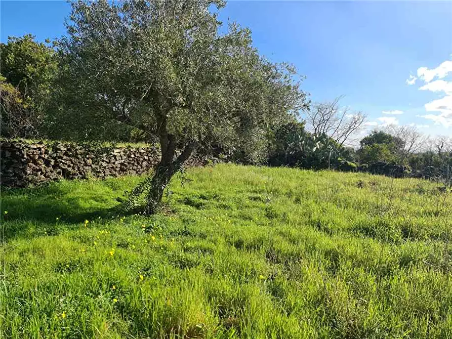 Immagine 8 di Terreno in vendita  in Via Fichera a Santa Venerina