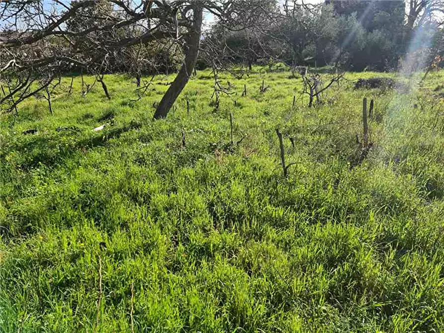 Immagine 9 di Terreno in vendita  in Via Fichera a Santa Venerina