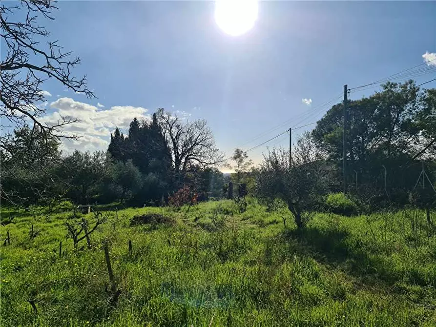 Immagine 10 di Terreno in vendita  in Via Fichera a Santa Venerina
