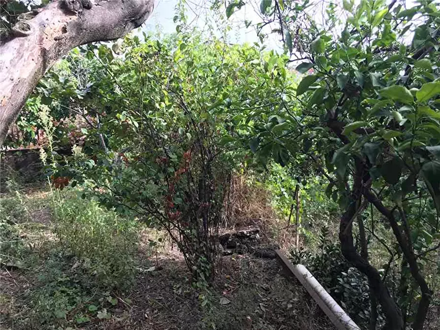 Immagine 10 di Villa in vendita  in Via Passopomo, 51 a Santa Venerina