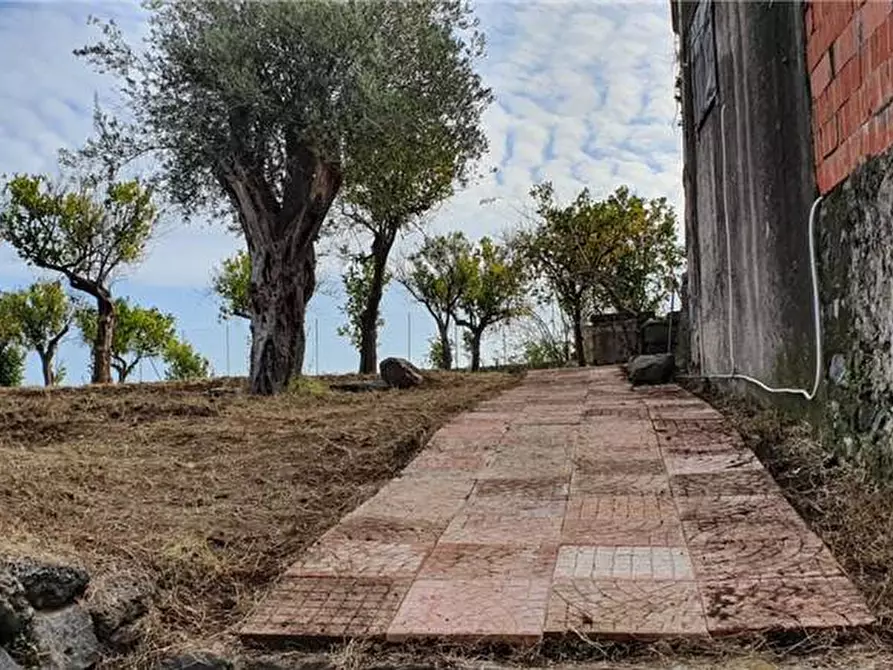 Immagine 7 di Villa in vendita  in Via Santa Lucia, 11 a Mascali