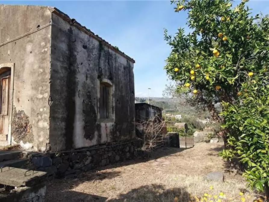 Immagine 8 di Villa in vendita  in Via Santa Lucia, 11 a Mascali
