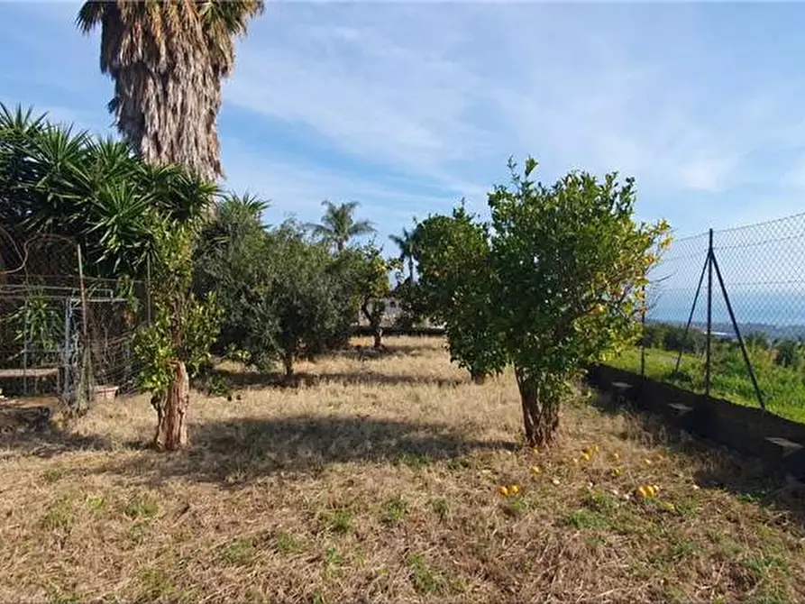 Immagine 9 di Villa in vendita  in Via Santa Lucia, 11 a Mascali