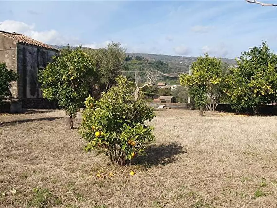 Immagine 10 di Villa in vendita  in Via Santa Lucia, 11 a Mascali