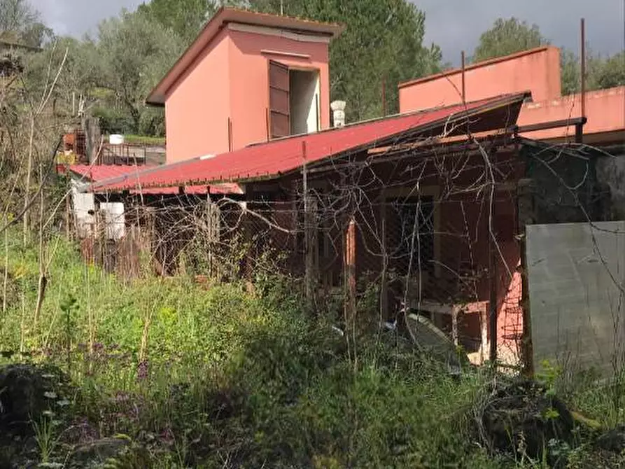 Immagine 10 di Villa in vendita  in Via Sciare Pennisi, sn a Zafferana Etnea
