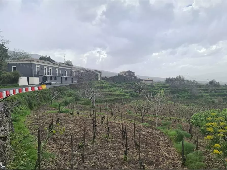 Immagine 10 di Villa in vendita  in Loc. Passopisciaro a Castiglione Di Sicilia