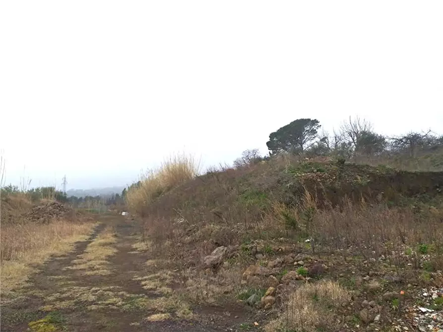 Immagine 6 di Terreno in vendita  in Via terremorte a Sant'alfio