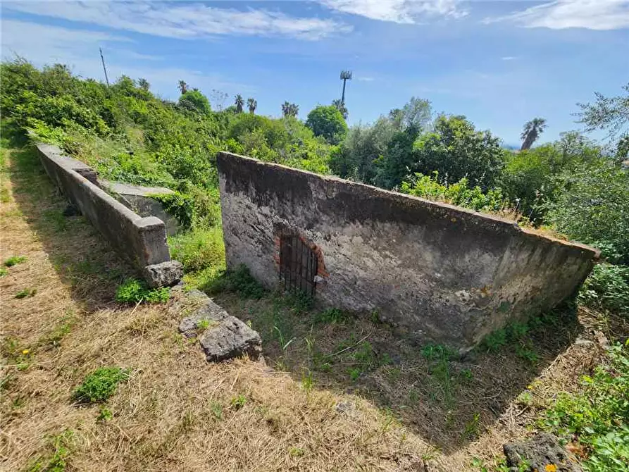 Immagine 6 di Terreno in vendita  in Via Badala a Fiumefreddo Di Sicilia