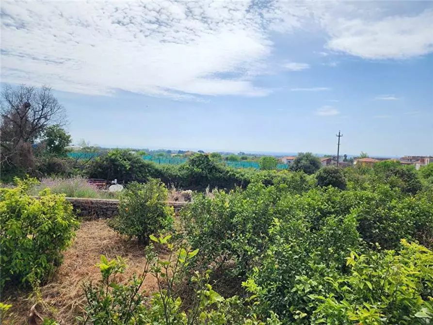 Immagine 7 di Terreno in vendita  in Via Badala a Fiumefreddo Di Sicilia