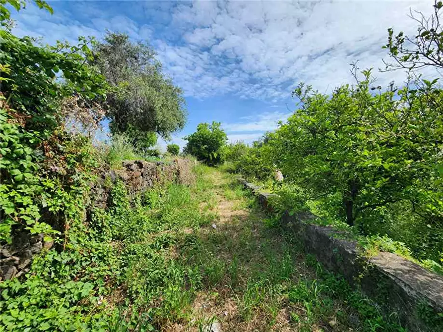 Immagine 8 di Terreno in vendita  in Via Badala a Fiumefreddo Di Sicilia