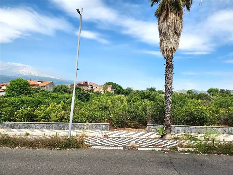 Immagine 9 di Terreno in vendita  in Via Badala a Fiumefreddo Di Sicilia