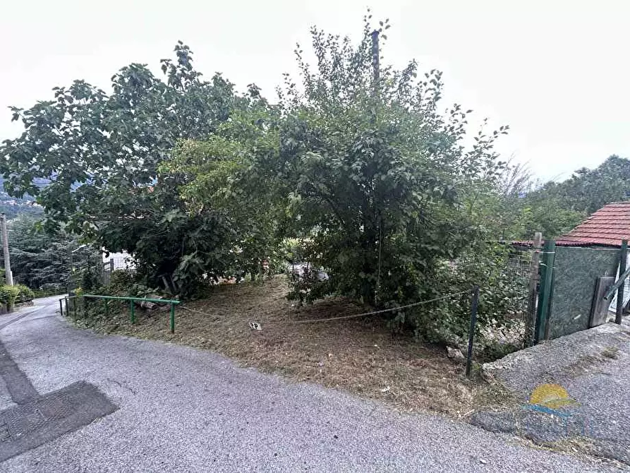 Immagine 17 di Villa in vendita  in Via Prelo a Savignone