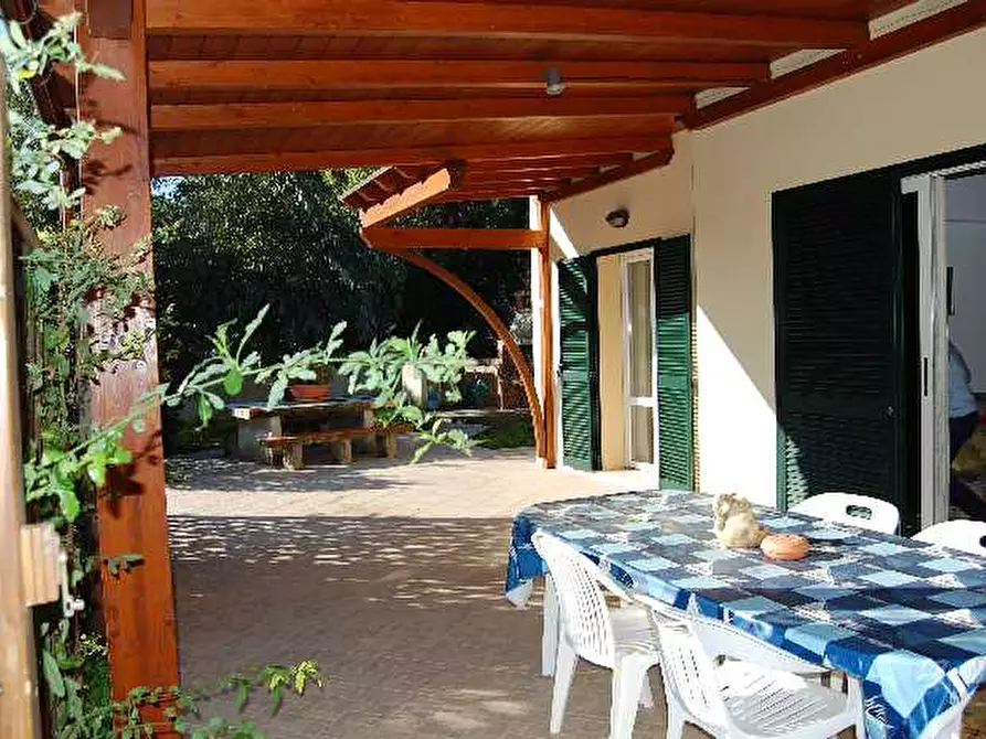 Immagine 6 di Appartamento in affitto  a Capoliveri