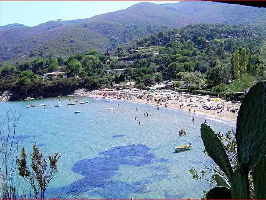 Immagine 9 di Appartamento in affitto  a Capoliveri
