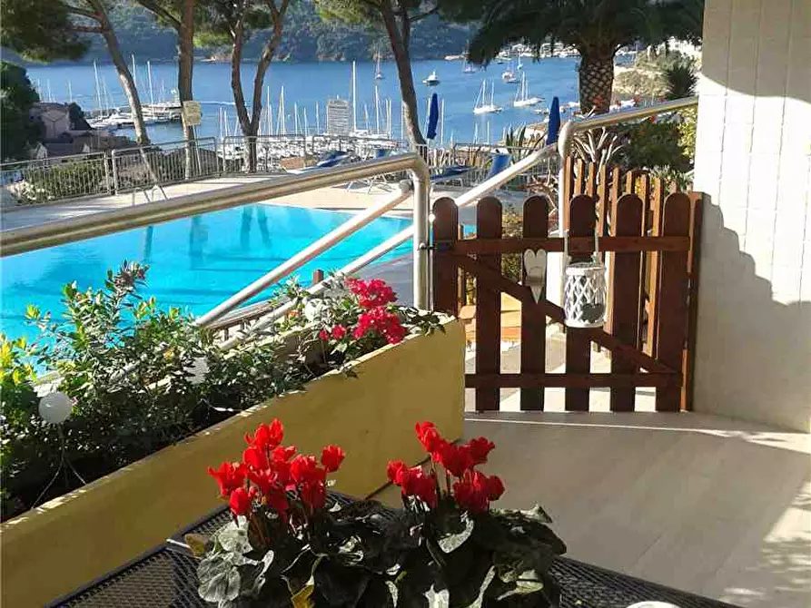Immagine 7 di Appartamento in vendita  a Porto Azzurro