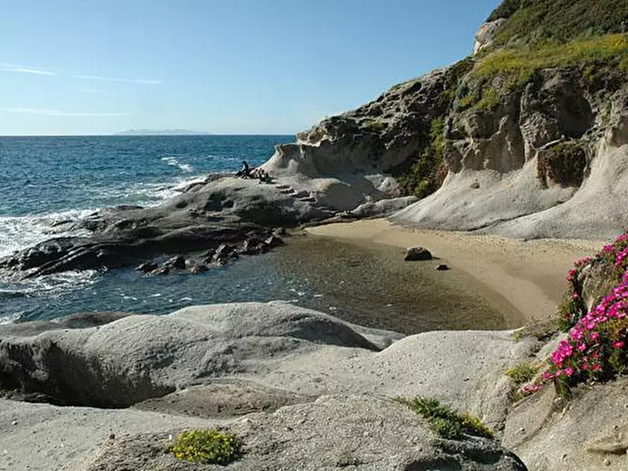Immagine 6 di Villa in vendita  a Marciana