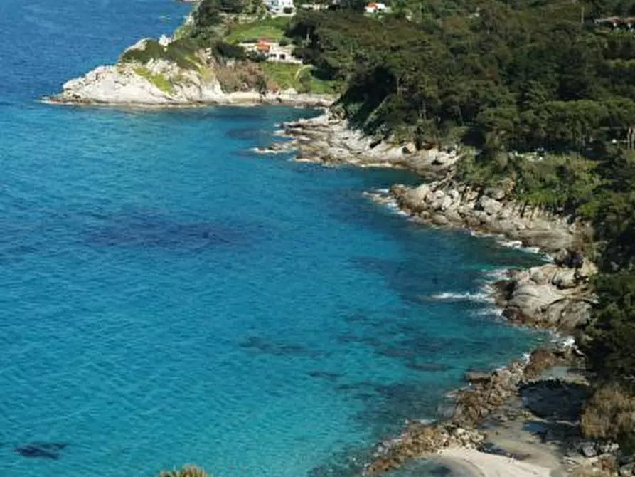 Immagine 8 di Villa in vendita  a Marciana