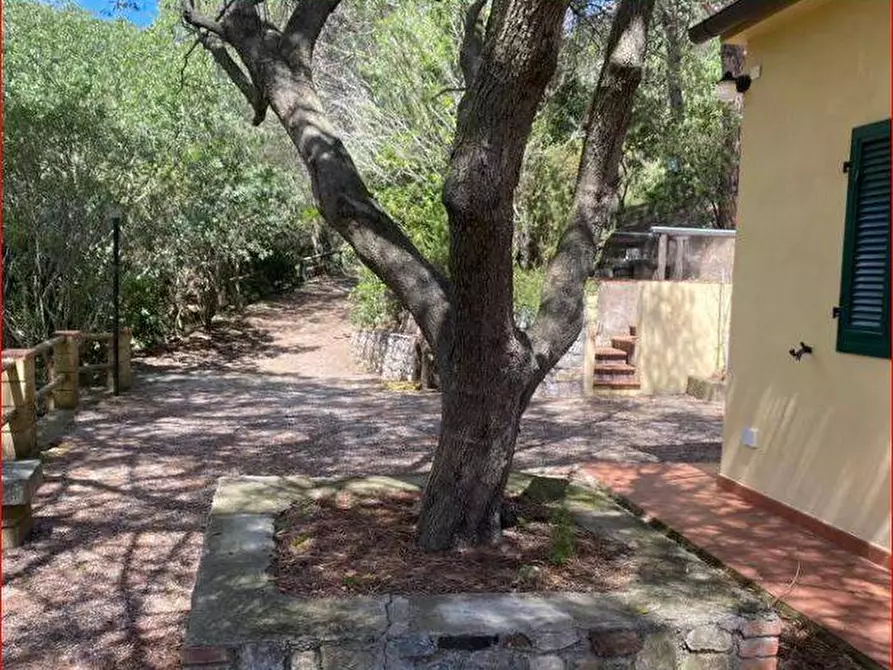 Immagine 13 di Villa in vendita  a Porto Azzurro
