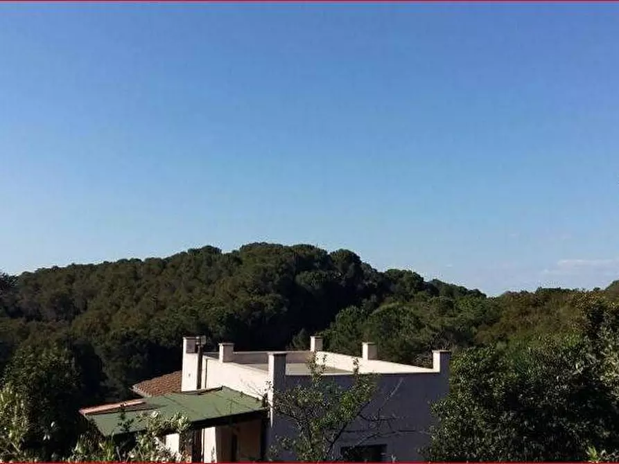 Immagine 9 di Villa in vendita  a Portoferraio