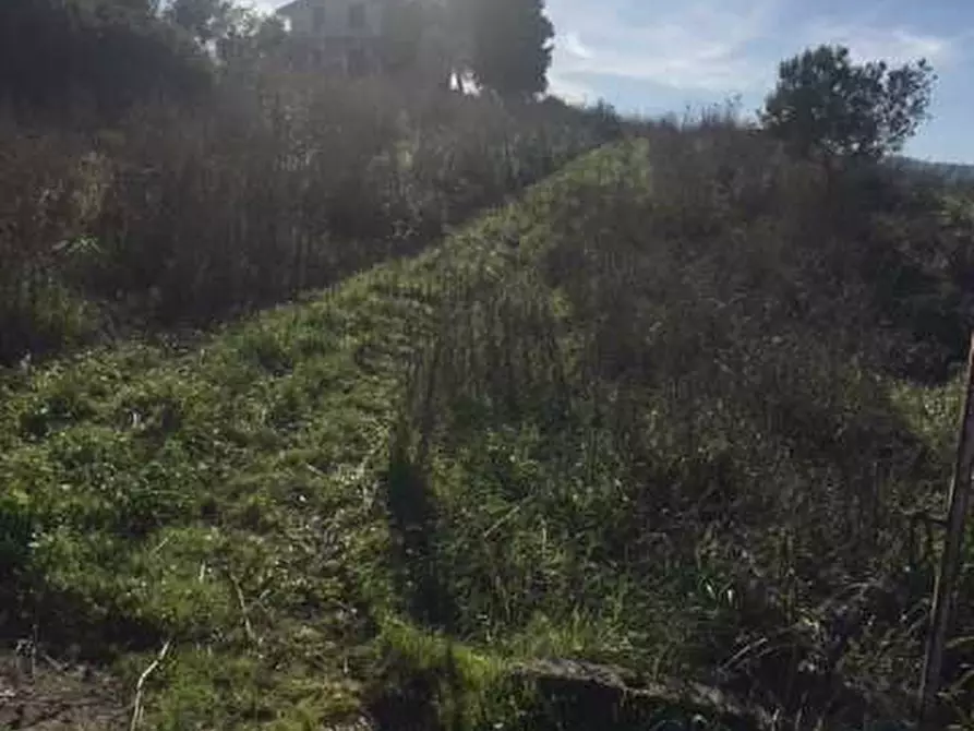 Immagine 11 di Terreno in vendita  in Loc. Strada traversa a Ventimiglia Di Sicilia