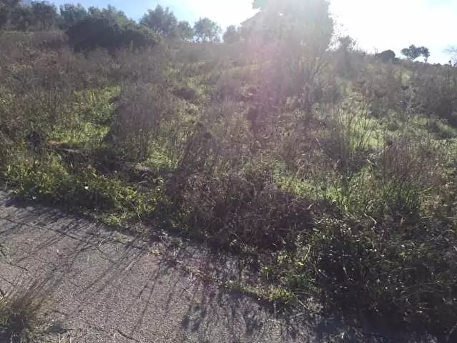 Immagine 12 di Terreno in vendita  in Loc. Strada traversa a Ventimiglia Di Sicilia
