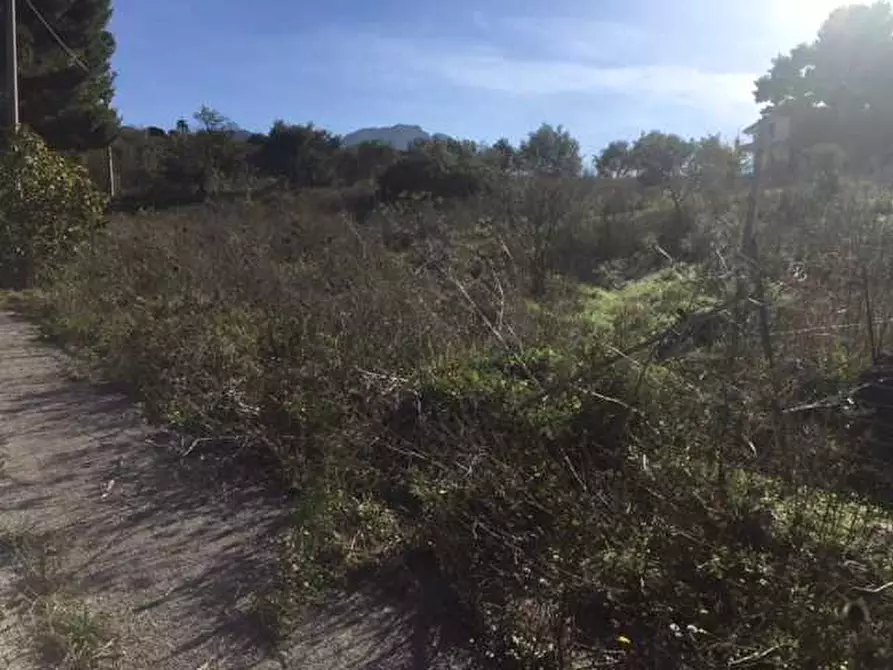 Immagine 13 di Terreno in vendita  in Loc. Strada traversa a Ventimiglia Di Sicilia
