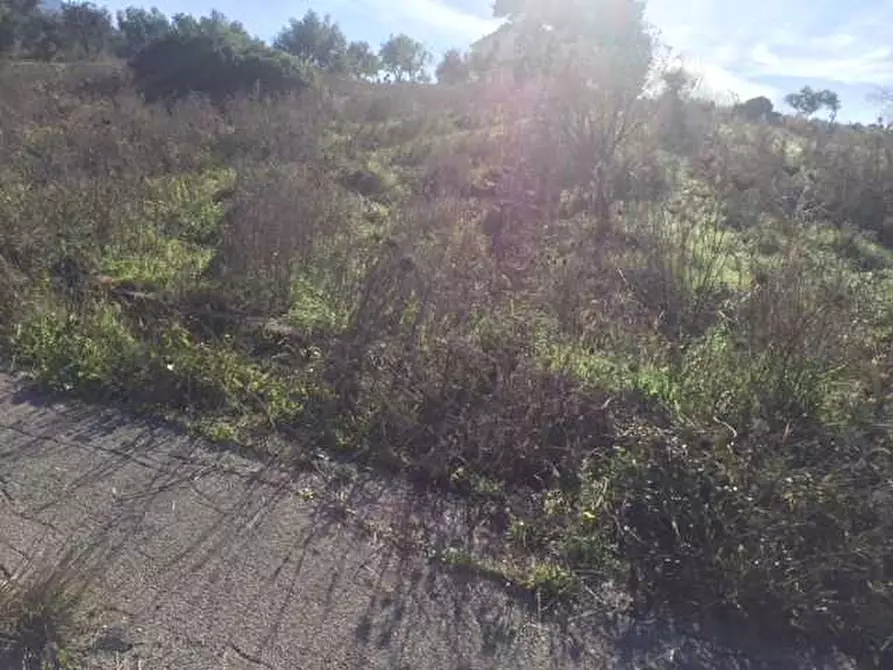 Immagine 14 di Terreno in vendita  in Loc. Strada traversa a Ventimiglia Di Sicilia