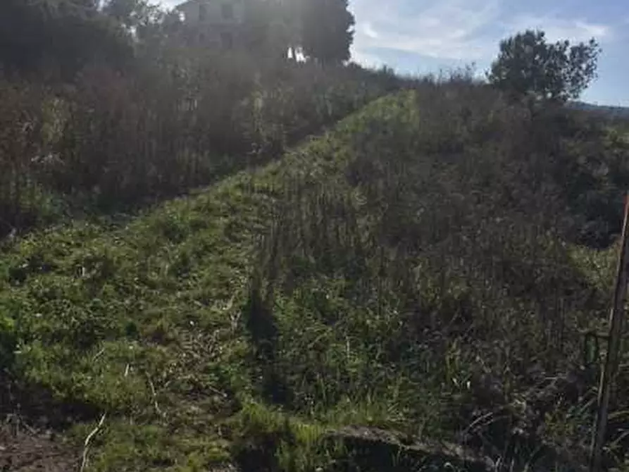 Immagine 15 di Terreno in vendita  in Loc. Strada traversa a Ventimiglia Di Sicilia
