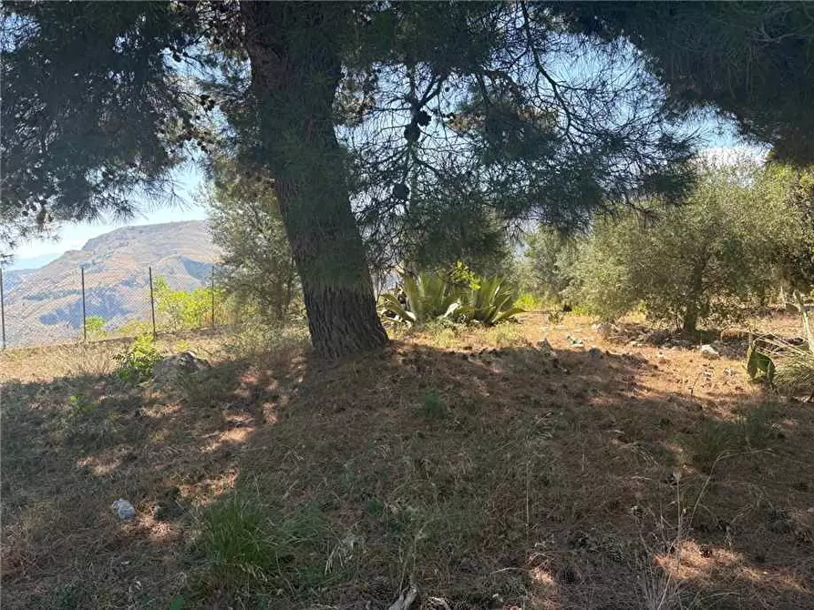 Immagine 12 di Rustico / casale in vendita  in Loc. STRADA VICINALE DEL MOSTO a Casteldaccia