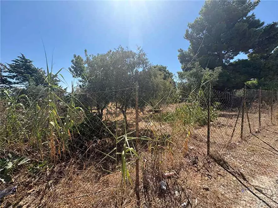 Immagine 14 di Rustico / casale in vendita  in Loc. STRADA VICINALE DEL MOSTO a Casteldaccia