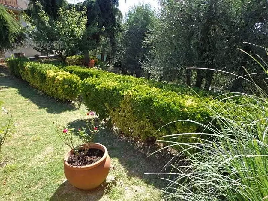 Immagine 10 di Appartamento in vendita  a Fucecchio