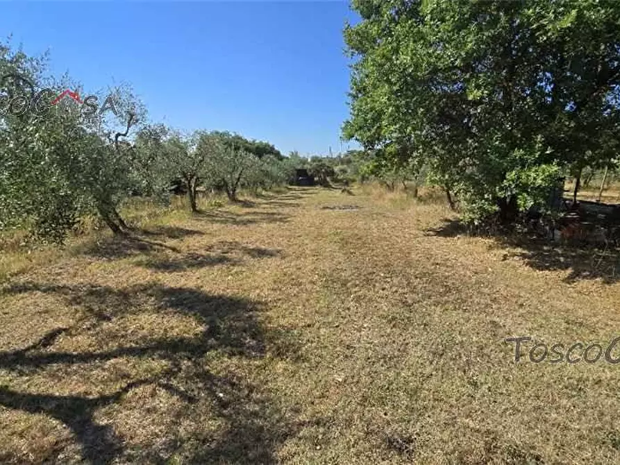 Immagine 10 di Porzione di casa in vendita  a Fucecchio