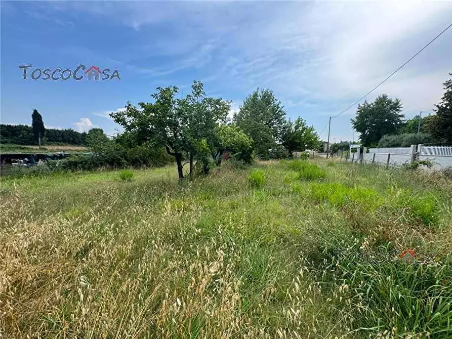 Immagine 6 di Terreno in vendita  in Via Valpinzana, 3 a Fucecchio