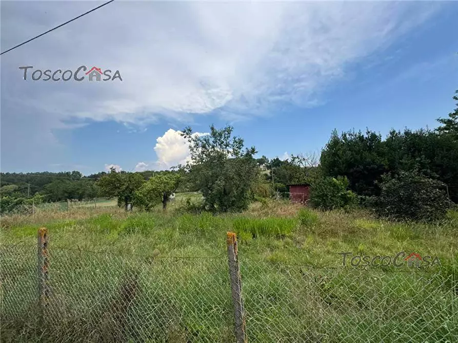 Immagine 9 di Terreno in vendita  in Via Valpinzana, 3 a Fucecchio