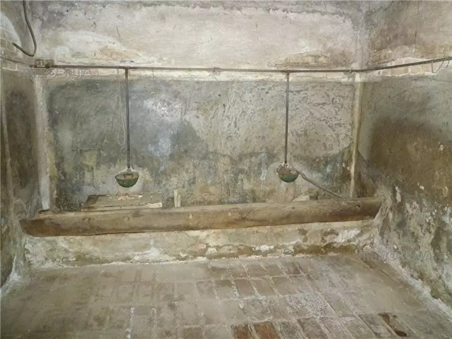 Immagine 8 di Villa in vendita  a Citerna