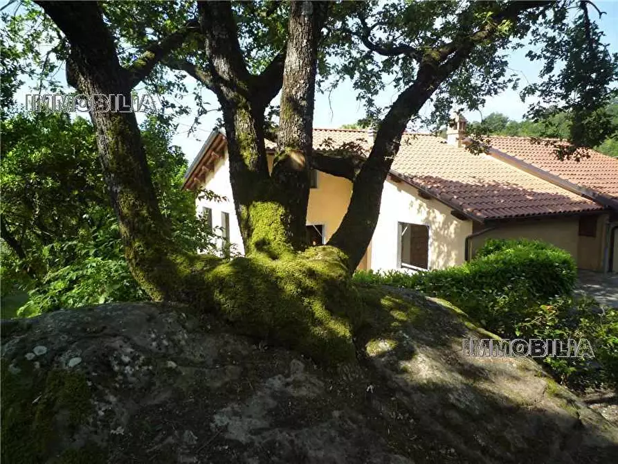 Immagine 8 di Villa in vendita  a San Giustino