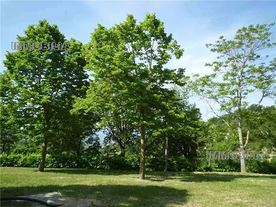Immagine 9 di Villa in vendita  a San Giustino