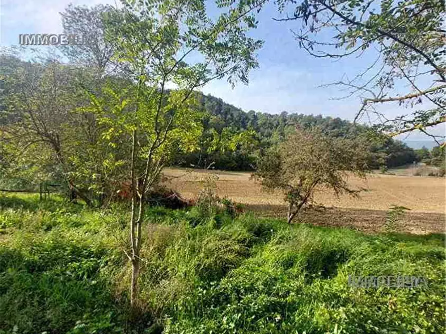 Immagine 9 di Rustico / casale in vendita  a Citerna