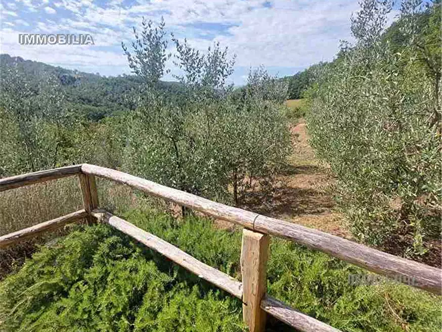 Immagine 26 di Rustico / casale in vendita  a Pieve Santo Stefano