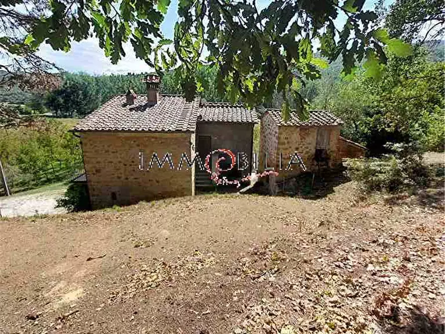 Immagine 18 di Rustico / casale in vendita  a Monterchi