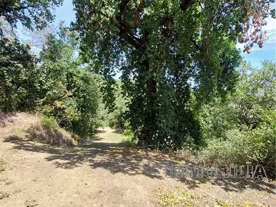 Immagine 19 di Rustico / casale in vendita  a Monterchi