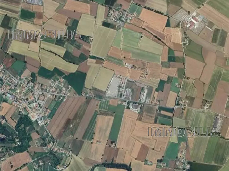 Immagine 9 di Terreno in vendita  a Citerna