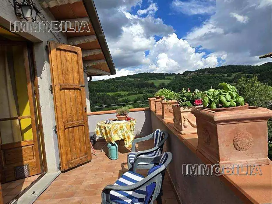 Immagine 30 di Rustico / casale in vendita  a Monte Santa Maria Tiberina