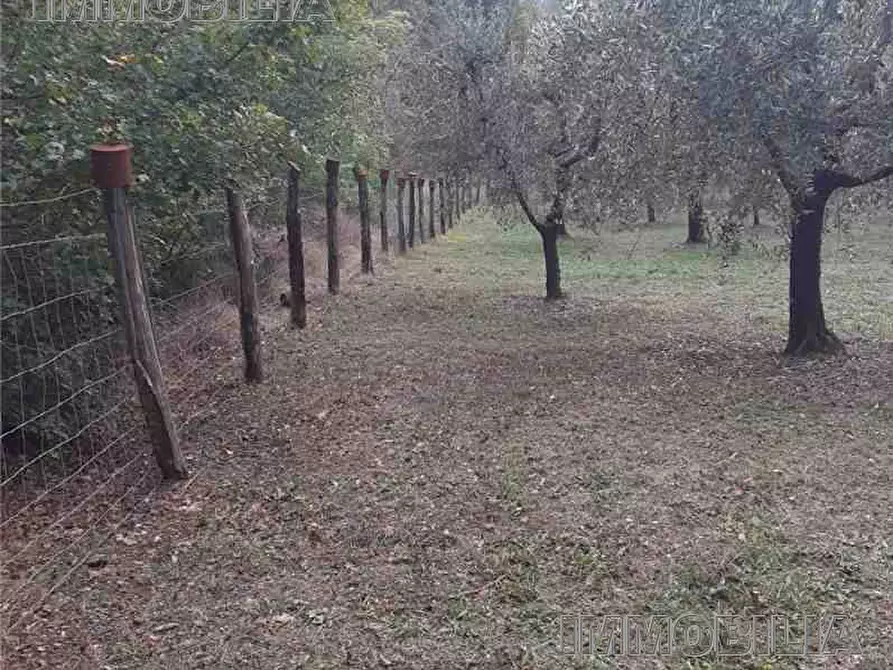 Immagine 6 di Terreno in vendita  a Monterchi