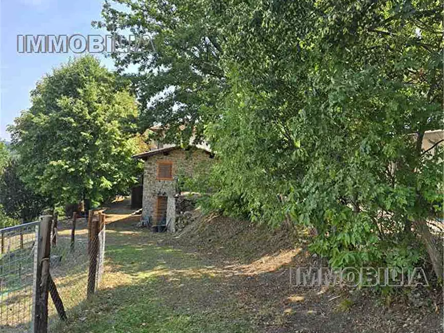 Immagine 33 di Rustico / casale in vendita  a Caprese Michelangelo