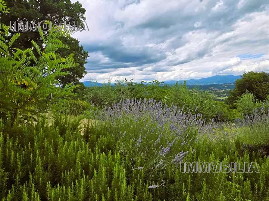Immagine 38 di Rustico / casale in vendita  a Monterchi