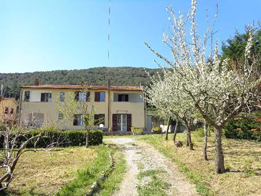 Immagine 6 di Villa in vendita  a Portoferraio